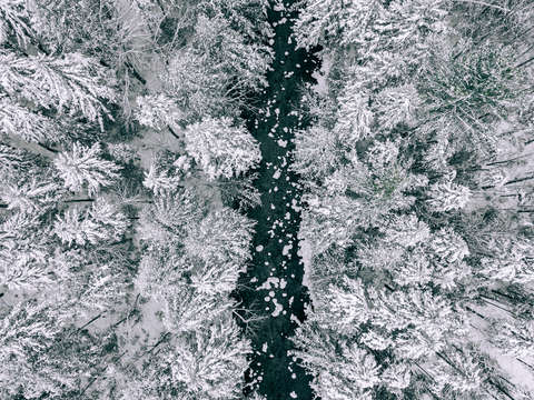 Lone river