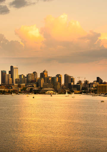 Golden seattle