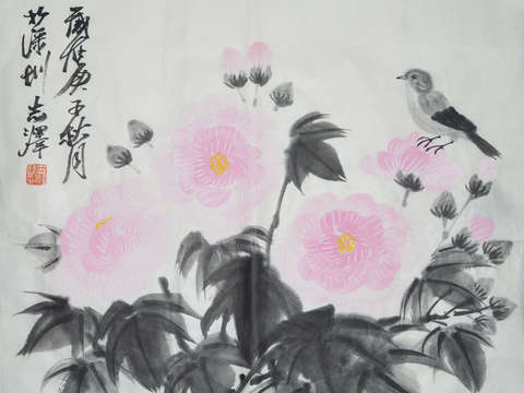 Hibiscus flower