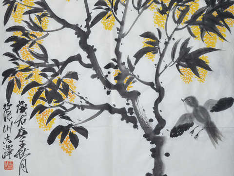 Osmanthus fragrans