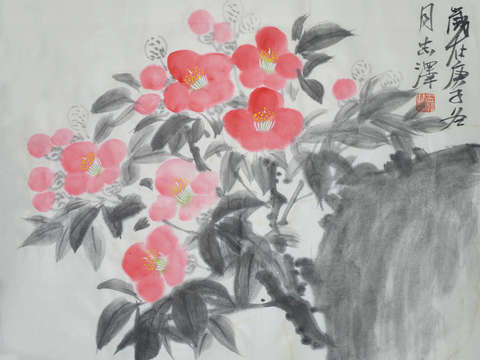 Camellia 2
