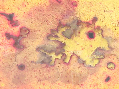 Untitled pond 2