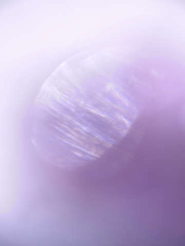 Purple glow 0846