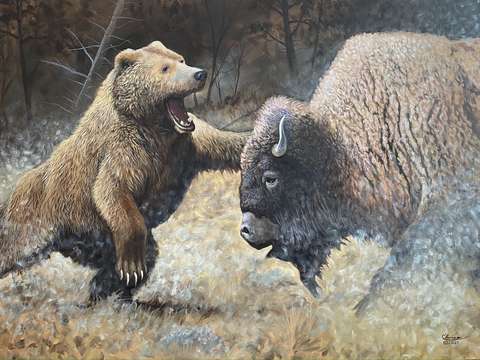 Bears and bulls