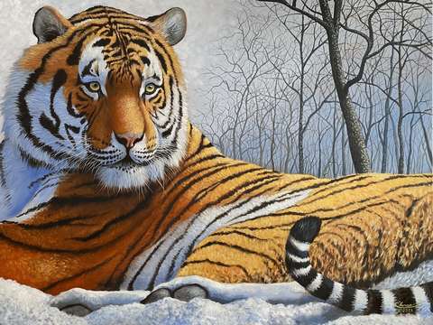 Tigress of the north