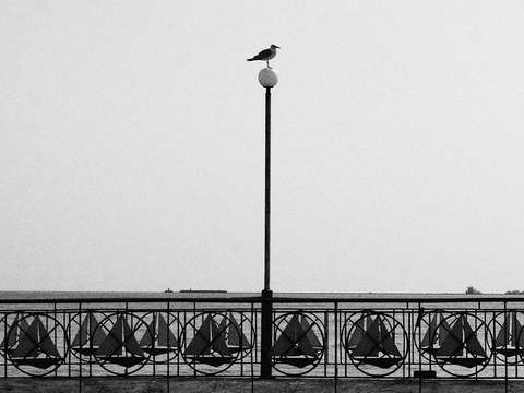 The watcher 4