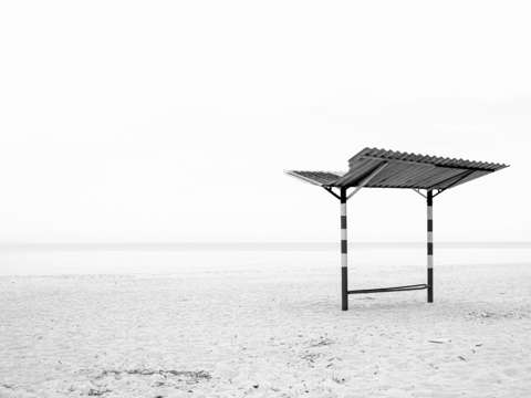 Alone 9