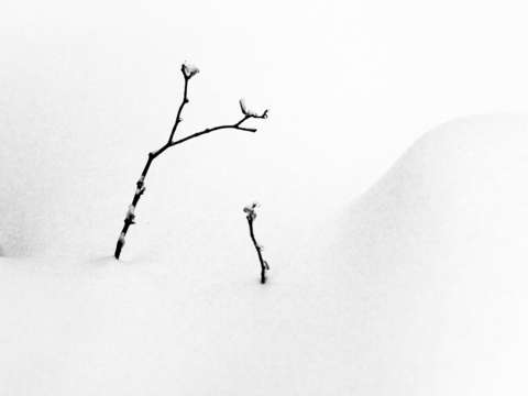 Winter 1 3