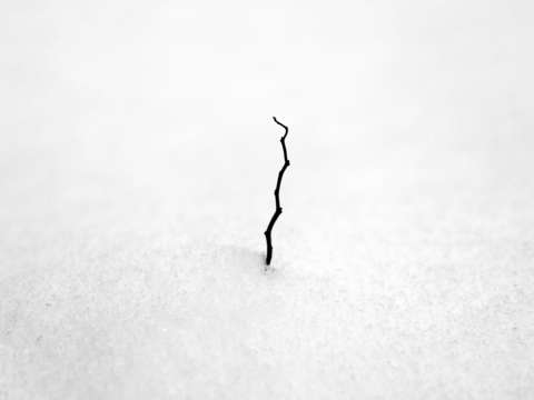 Winter 3 3
