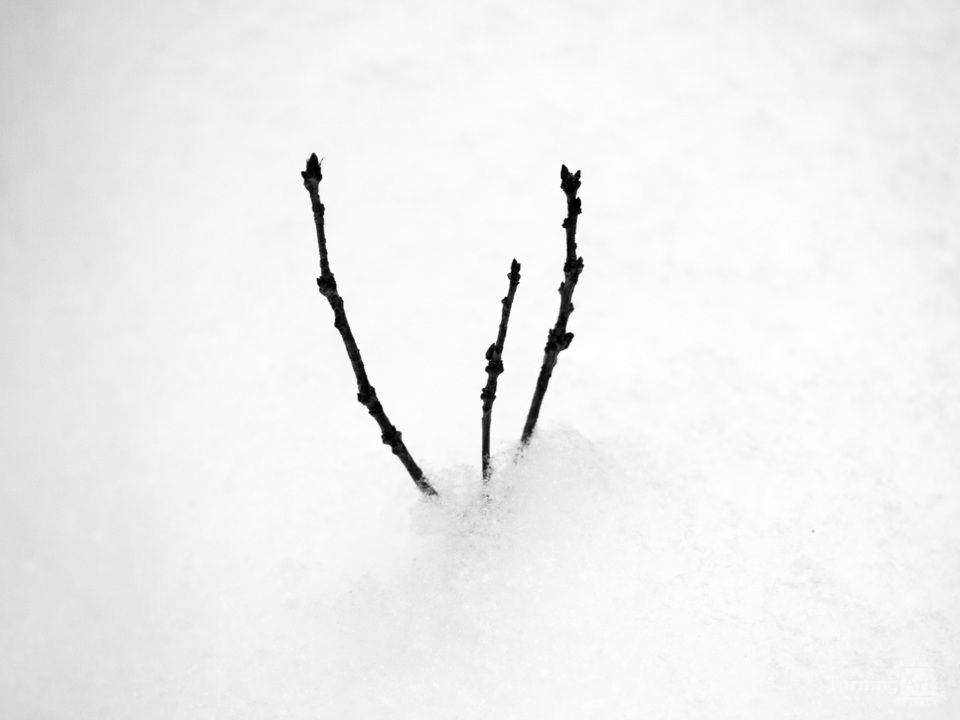 Winter 4 3
