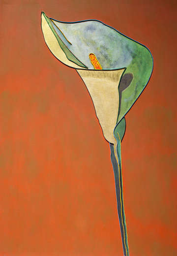 Cala lily no 110