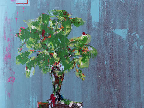 Bonsai stripes