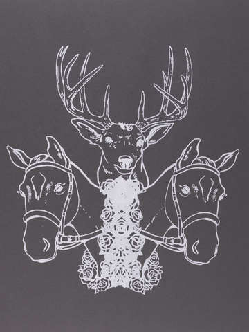 Two horse and a deer