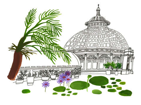 New york botanical garden
