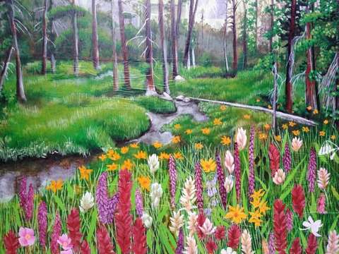 Uinta meadow
