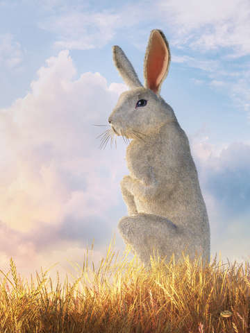 Follow the white rabbit
