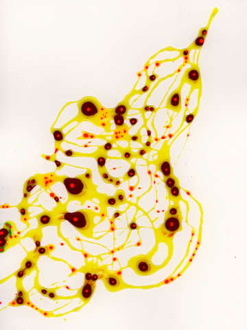 Cone