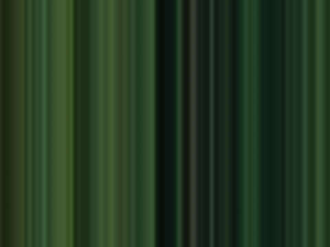 Trees 11