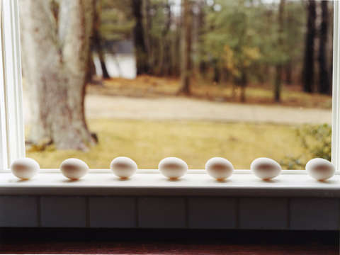 Eggs