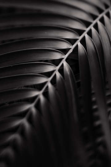 Bend 3