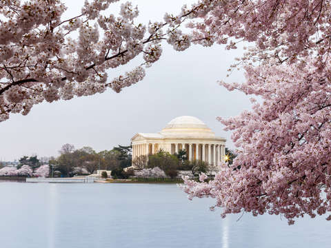 Jefferson memorial at dawn