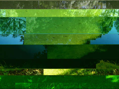 Pond paradise 00656