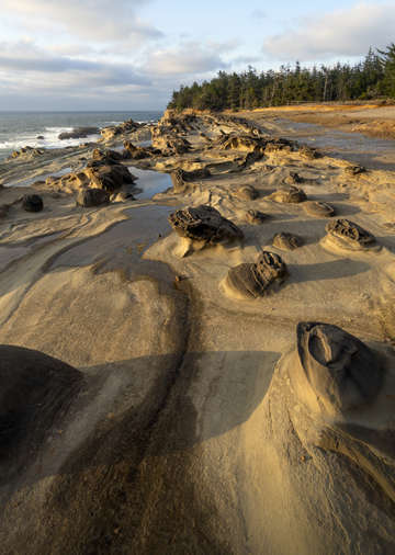 Shore acres