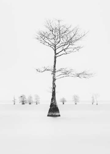 Forefront