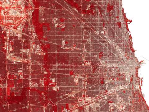 Chicago il red white