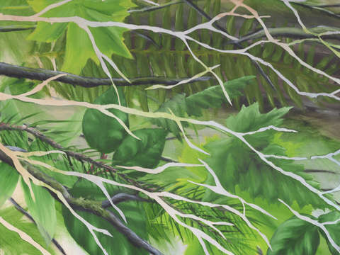 Cascadia panel 1