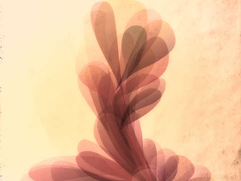 Soul/Spirit