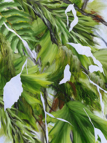 Hoh oxbow panel 2