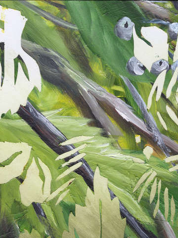 Johnny creek panel 5