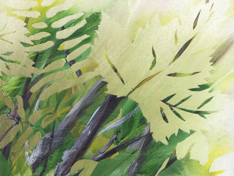 Johnny creek panel 6