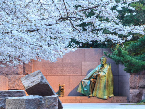 Fdr monument at cherry blossom time
