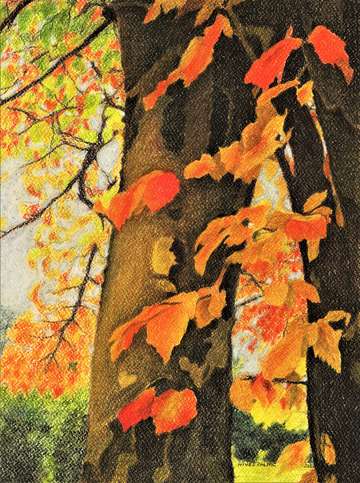Autumn fairy ii
