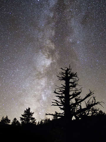 The heavens