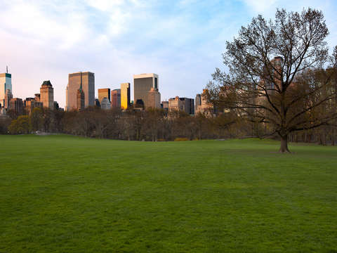Central park n ny