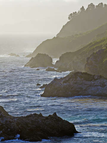 Misty rocks