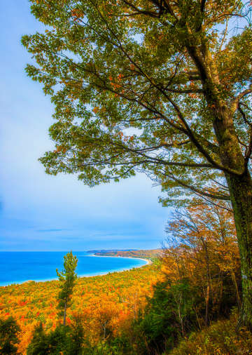 Autumn overlook on alligator hill