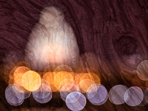 Capitol bokeh bark