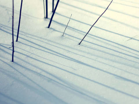 Late afternoon 3