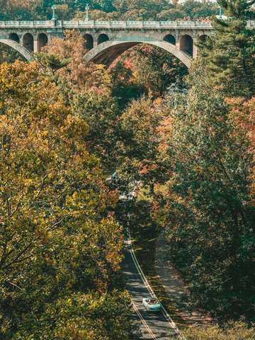 Beautiful autumn drive at adams morgan