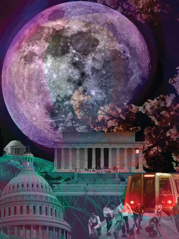 District wonder
