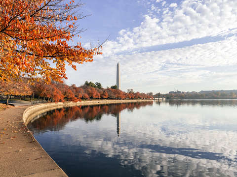 Monumental fall