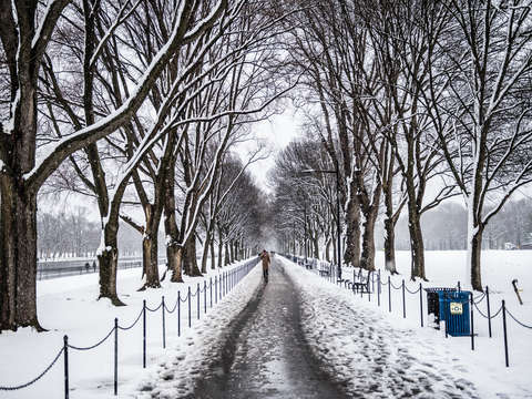 National mall in the snow
