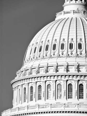 Us capitol dome in black and white 2