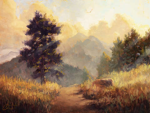 Mountain sunlight