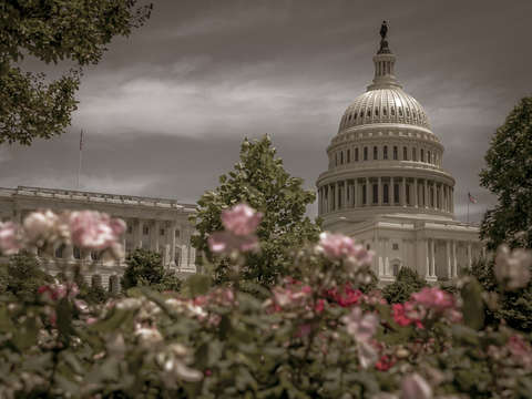 Spring in the city 3