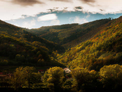 Home on the danube